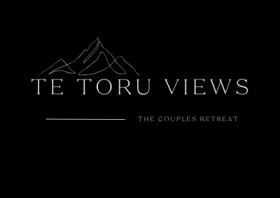 te toru views logo design